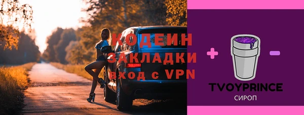 крисы Няндома