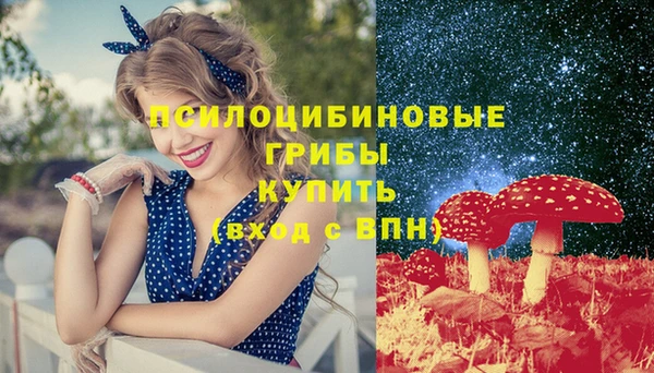 МДМА Заречный