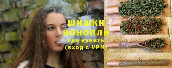 прущие крисы Новодвинск