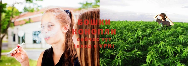 прущие крисы Новодвинск