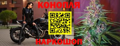a pvp Жуковский