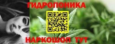 МДМА Заводоуковск