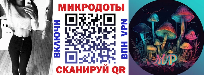 Псилоцибиновые грибы мицелий  blacksprut   Каменка  что такое  