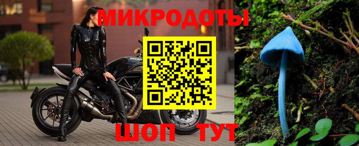 Псилоцибиновые грибы Magic Shrooms Каменка