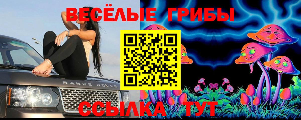 как найти закладки  Галлюциногенные грибы Psilocybine cubensis  Вход с VPN  Каменка 