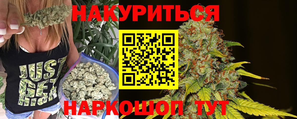 Бошки Шишки VHQ  Вход с VPN  Конопля ГИДРОПОН  Каменка 